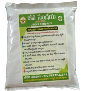 Jeeva Sendriya – Azospirillum