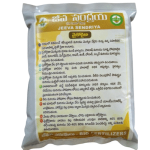 Jeeva Sendriya – Mycorrhiza