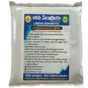 Jeeva Sendriya – Potash Mobilizing Bacteria (KMB)